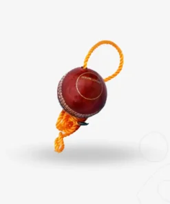 Speedster Hanging Ball Cricket Practice